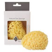 And it is the most absorbant item on the planet. Kyte Baby Natural Sea Bath Sponge In Yellow Bed Bath Beyond