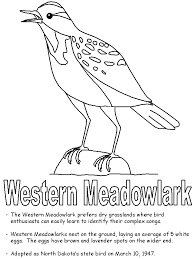 Anderson hall (pdf) wildcat statue (pdf. Western Meadowlark Coloring Page