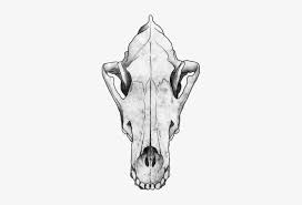 It is undeniable that wolves are one of the most common popular figures in demand when it comes to tattoos. Skull Tattoo Design Wolf Skull Png Transparent Png 267x479 Free Download On Nicepng