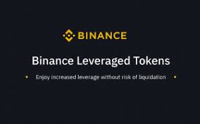 What is leverage in trading? Binance Leverage Tokens Explained Trade Up To 3x No Risk For Liquidation