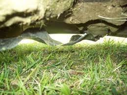 Craftsman Riding Lawn Mower Cutting Uneven Doityourself Com Community Forums