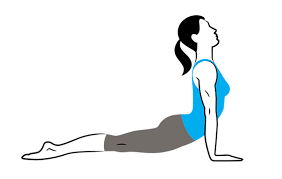 Should You Squeeze The Glutes In Backbends Here S The Why And How Glutes Upward Facing Dog Pose Upward Facing Dog