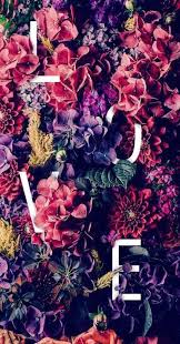 Pin On Flower1