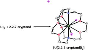 Uranium is the heaviest of the naturally occurring elements. Synthesis Of Uranium In Cryptand Complexes Chemical Communications Rsc Publishing