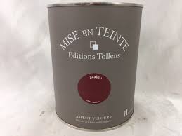 Retrouvez un large choix de marques et de références peinture murale couleur au meilleur prix. Tollens Mise En Teinte Velours 1l Tollens 3553690094936 Large Selection De Peinture Accessoire Au Meilleur Prix