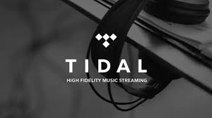 2026년 Tidal Family 플랜으로 음악 스트리밍 할인받는 법: 고음질을 합리적으로 즐기는 비결