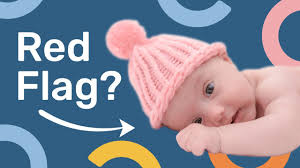 Image result for Developmental Red Flags