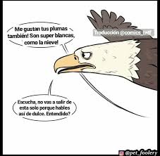 Pixie Y Brutus Espanol Humor Divertido Sobre Animales Humor Divertido Traduccion Al Espanol