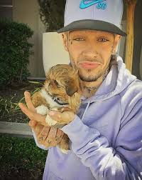 Liam Horne (@LiamHorne) • Facebook