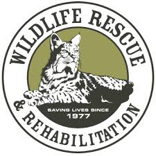 Internships Wildlife Rescue Rehabilitation