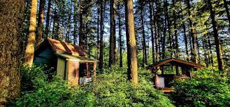 Maybe you would like to learn more about one of these? Multnomah Falls Vacation Rentals Homes Oregon United States Airbnb