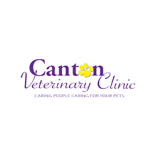 All pets vet clinic inc in middleton, wi is a full service companion animal hospital. All Pets Veterinary Clinic Home Facebook
