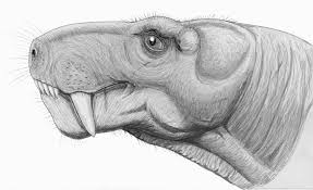 Sketching is an incredibly broad and practical survey of sketching techniques for product designers. Frequently Asked Questions Odontoma In A Gorgonopsian Uw News