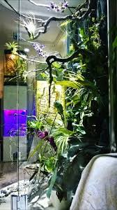 Vivarium But Still Cool Vivarium Veiled Chameleon Reptiles And Amphibians