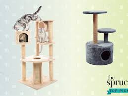 Best 4 outdoor cat tree & tower. The 8 Best Cat Trees Of 2021