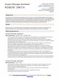 project manager assistant resume