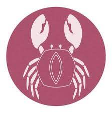 July 23 to august 23. Daily Horoscope For July 30 2021