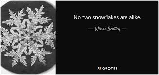 They land on me, before they melt away and leave me cold. Wilson Bentley Quote No Two Snowflakes Are Alike