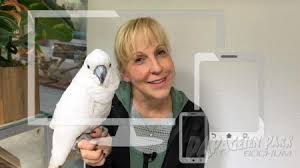 Papageienkäfig kaufen für mittelgroße papageien. Papageien Verkauf Papageienpark Parrot Park Heike Mundt