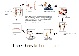 upper body circuit exercises