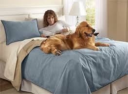 Dog Proof Bedding Master Bedroom Redo Twin Bed Linen Matching Shams