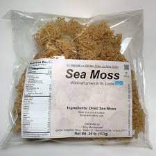 How to use sea moss gel for hair growth. Irish Sea Moss For Hair Growth Benefits Side Effects Eat Algae