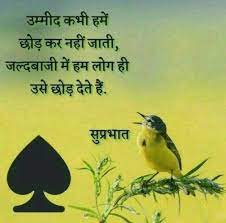 Pin On Good Morning Quotes And Shayari In Hindi
