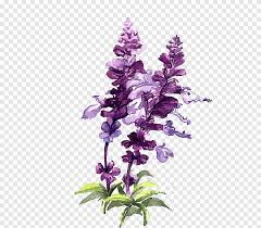 Download purple aubrieta flowers free pure 4k ultra hd 71 pink love wallpapers on wallpaperplay 20 most stylish whatsapp wallpapers of 2018 Watercolor Flowers Purple Flowers Autumn Png Pngegg