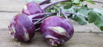 Accurate measurements are essential to many dishes you make, and this helpful tool. Kohlrabi Recipes For Gardeners