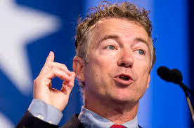 Rand Paul's spectacular crash: How a man of principle turned into a generic  politician