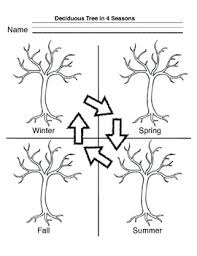 Here is a pick of 8 great all season trees guaranteed to brighten up your yard. Four Seasons Tree Worksheets Teaching Resources Tpt