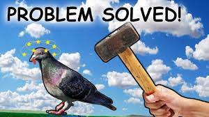 Check spelling or type a new query. How To Get Rid Of Pigeons In 10 Minutes Natural Solution Extended Version Youtube