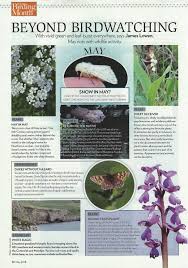 Birds Blooms Magazine Telephone Number My May 2018 Feature On Non Birdy Wildlife In Bird Watching With Images Bird Watching Birds Wildlife