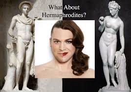 Image result for True Hermaphroditism