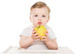 Baby Boy Holding Apple And Sitting In Free Stock Photo And Image