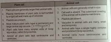 Check spelling or type a new query. Difference Between Plant And Animal Cell With Suitable Figures Brainly In