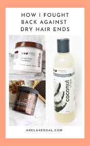 6 Weeks Post Relaxer Battling Dry Hair Ends In 2020 Relaxed Hair Care Hair Care Dry Hair Ends