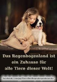 Gerettet vor einem drogenabhängigen bettler, gerettet aus der tötung, gerettet in unsere auffangstation und doch haben wir die kleine vega verloren. Tiere Gehen Uber Die Regenbogenbrucke Startseite Facebook