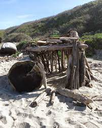 Driftwood San Gregorio Beaches Near Me Favorite Places