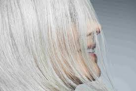 When we say equipment we mean: 12 Shimmering Silver Hairstyles John Frieda