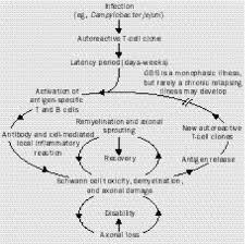 Published online 15 july 2014; Guillain Barre Syndrome The Lancet