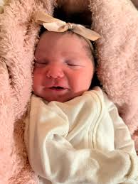 Create newborn studio style photos?