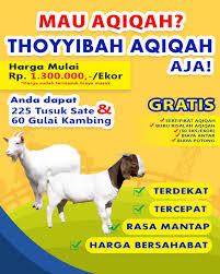 Thoyyibah Aqiqah Catering Home Facebook