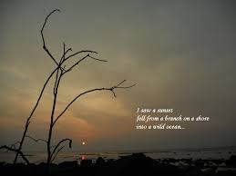 Purple Nook Haiku A Seed Of Sunset Haiku Examples Haiku Poems Examples Haiku