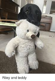 The best teddy riley memes and images of may 2021. Riley And Riley Meme On Me Me