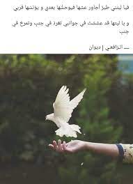 Pin By Aya Abbas On كلمات Beautiful Arabic Words Love Quotes For Her Arabic Love Quotes