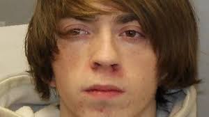 Teen charged in Avoca burglary