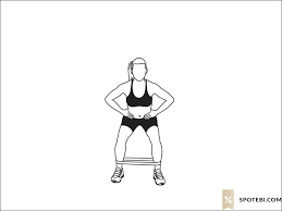 We did not find results for: Squat Band Hip Abduction Illustrated Exercise Guide