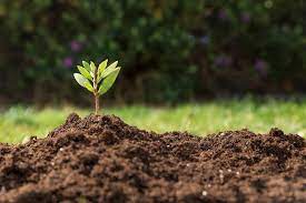 How to loosen garden soil. How To Soften Hard Garden Soil Perfect For Home
