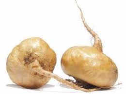 Plantes Aphrodisiaques Le Bon Complement Photo Fruit Plante Sante Bien Etre